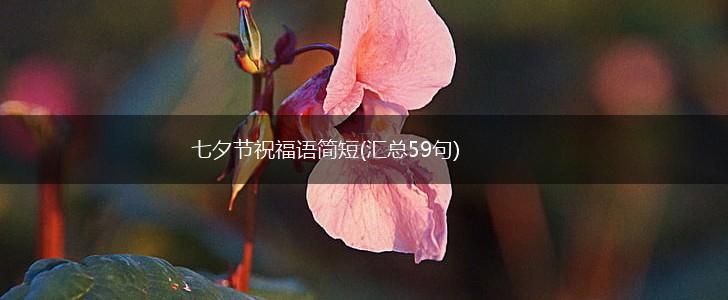 七夕节祝福语简短(汇总59句),第1张