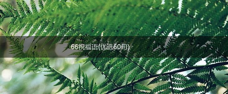 66祝福语(优选60句),第1张