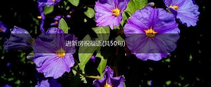 进新房祝福语(共50句),第1张