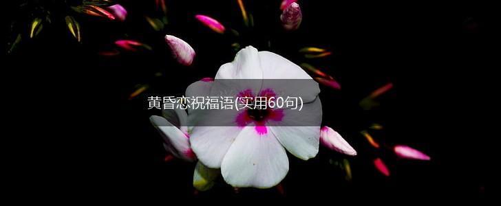 黄昏恋祝福语(实用60句),第1张