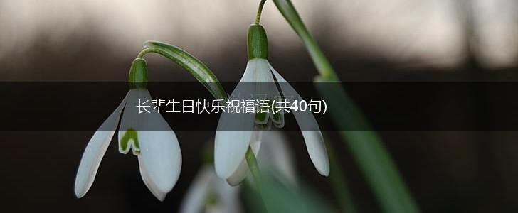 长辈生日快乐祝福语(共40句),第1张