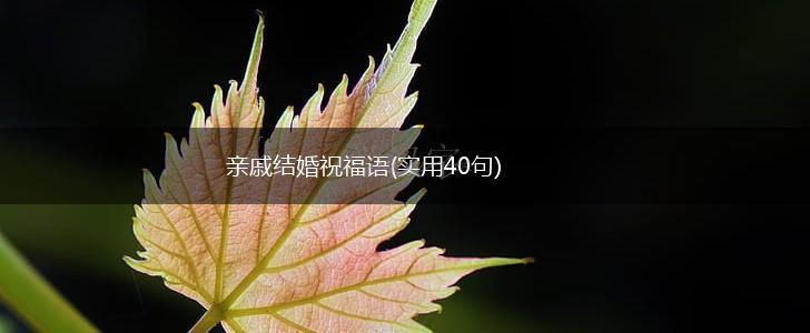 亲戚结婚祝福语(实用40句),第1张