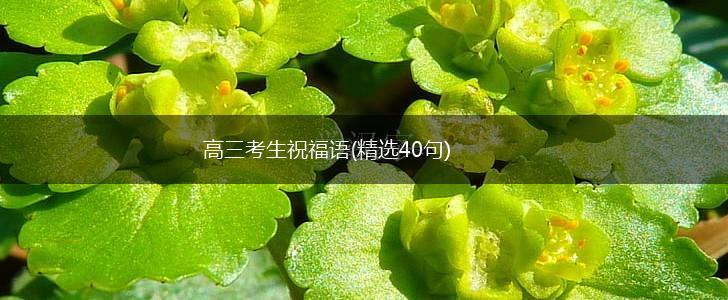 高三考生祝福语(精选40句),第1张