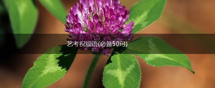 艺考祝福语(必备50句),第1张