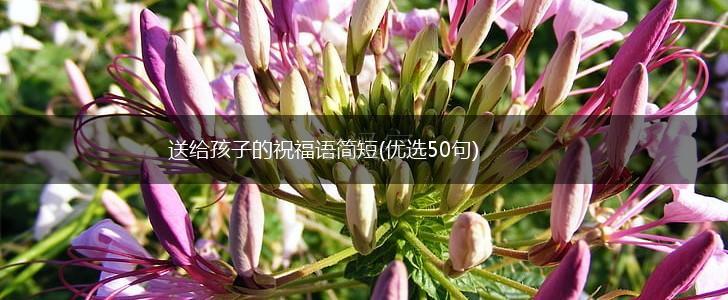 送给孩子的祝福语简短(优选50句),第1张