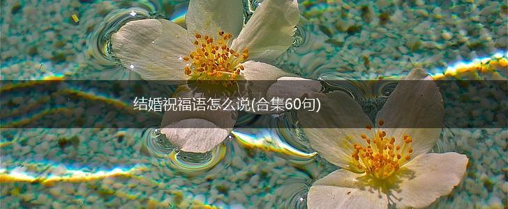 结婚祝福语怎么说(合集60句),第1张