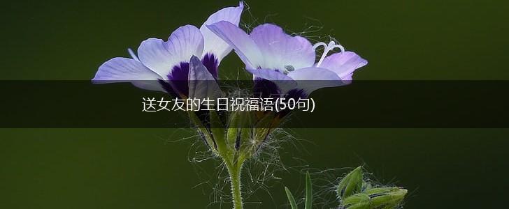 送女友的生日祝福语(50句),第1张