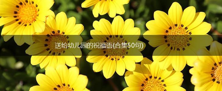 送给幼儿园的祝福语(合集50句),第1张