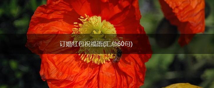 订婚红包祝福语(汇总60句),第1张