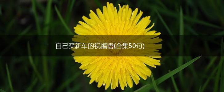 自己买新车的祝福语(合集50句),第1张