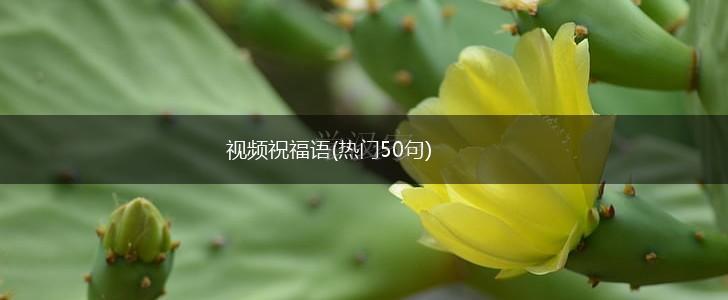 视频祝福语(热门50句),第1张