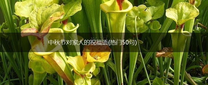 中秋节对家人的祝福语(热门50句),第1张