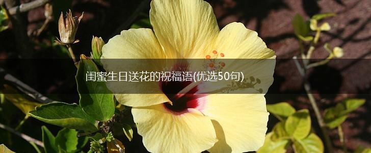 闺蜜生日送花的祝福语(优选50句),第1张