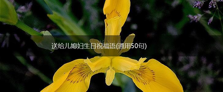 送给儿媳妇生日祝福语(通用50句),第1张