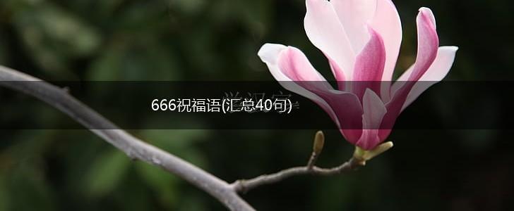 666祝福语(汇总40句),第1张