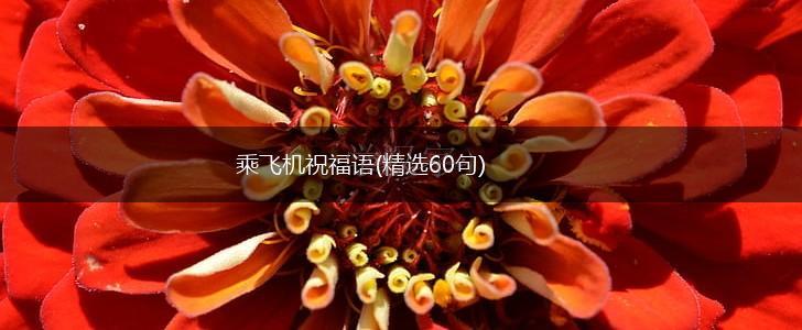 乘飞机祝福语(精选60句),第1张