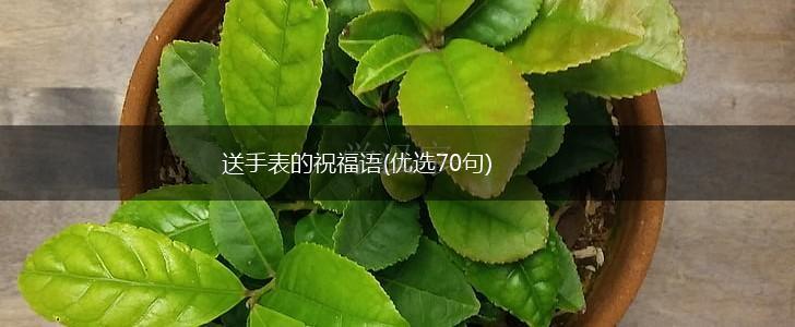 送手表的祝福语(优选70句),第1张