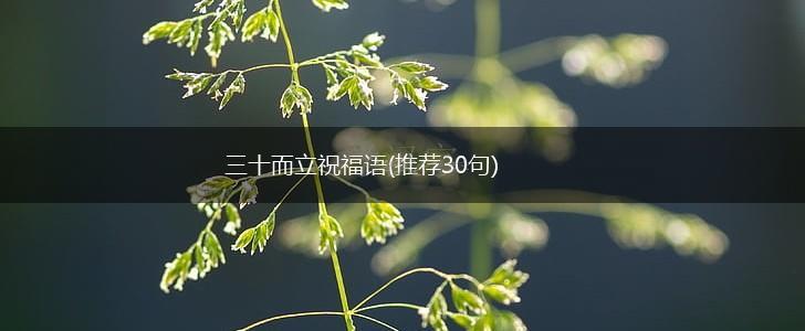 三十而立祝福语(推荐30句),第1张