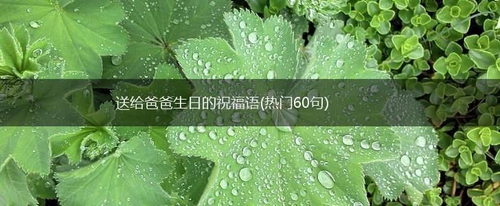 送给爸爸生日的祝福语(热门60句),第1张