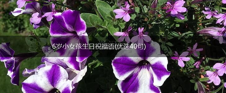 6岁小女孩生日祝福语(优选40句),第1张