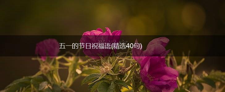 五一的节日祝福语(精选40句),第1张