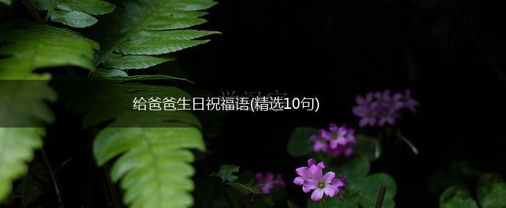 给爸爸生日祝福语(精选10句),第1张