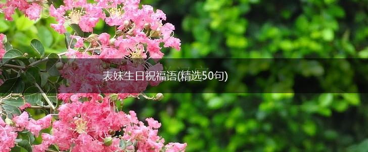 表妹生日祝福语(精选50句),第1张