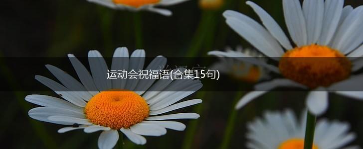 运动会祝福语(合集15句),第1张