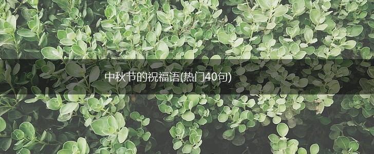 中秋节的祝福语(热门40句),第1张