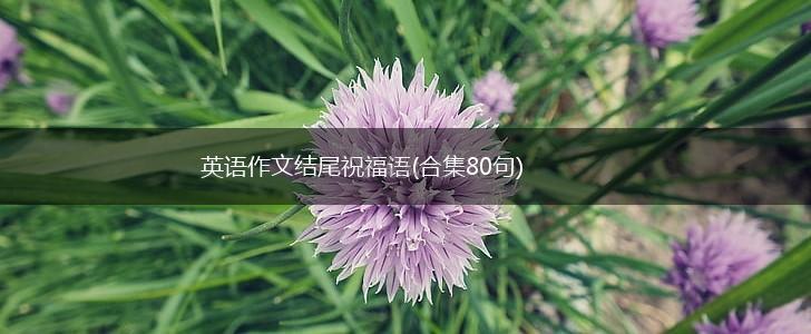 英语作文结尾祝福语(合集80句),第1张