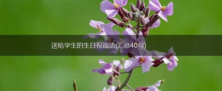 送给学生的生日祝福语(汇总40句),第1张