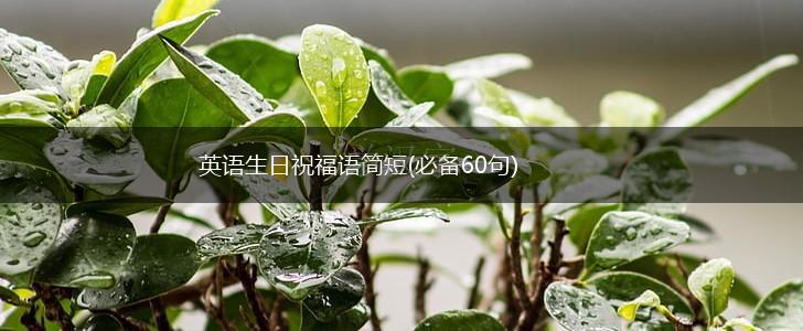 英语生日祝福语简短(必备60句),第1张