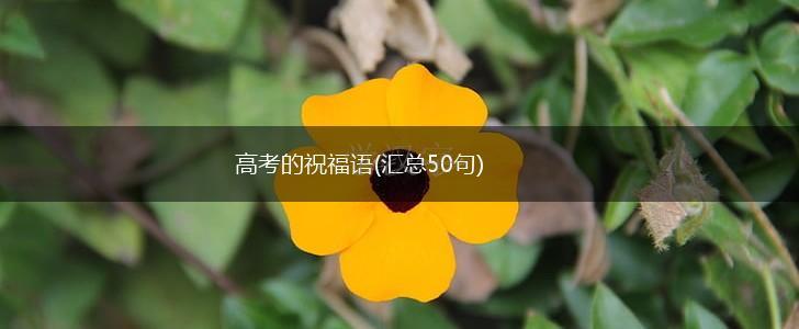 高考的祝福语(汇总50句),第1张