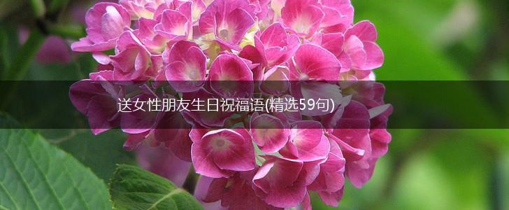 送女性朋友生日祝福语(精选59句),第1张