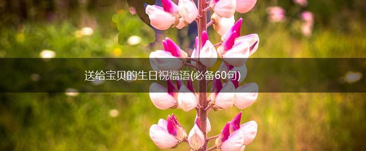 送给宝贝的生日祝福语(必备60句),第1张