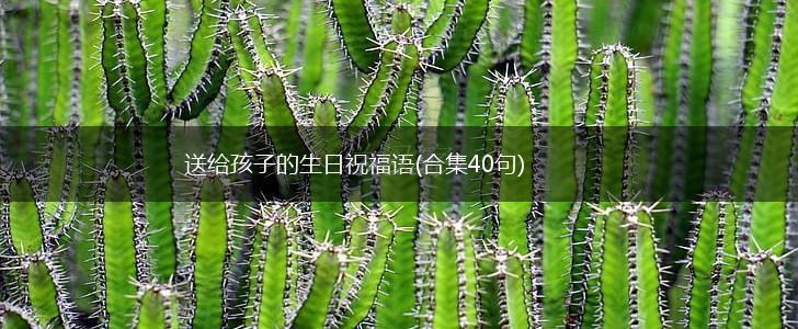 送给孩子的生日祝福语(合集40句),第1张