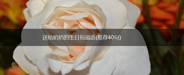 送给奶奶的生日祝福语(推荐40句),第1张