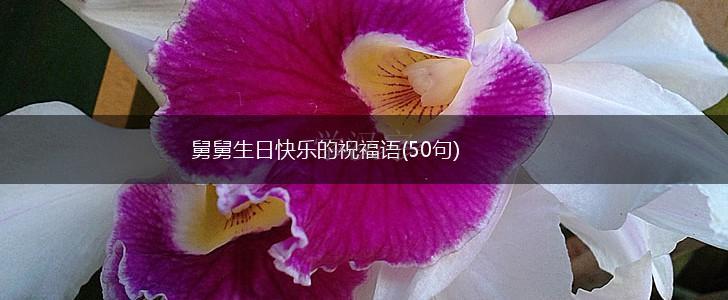 舅舅生日快乐的祝福语(50句),第1张