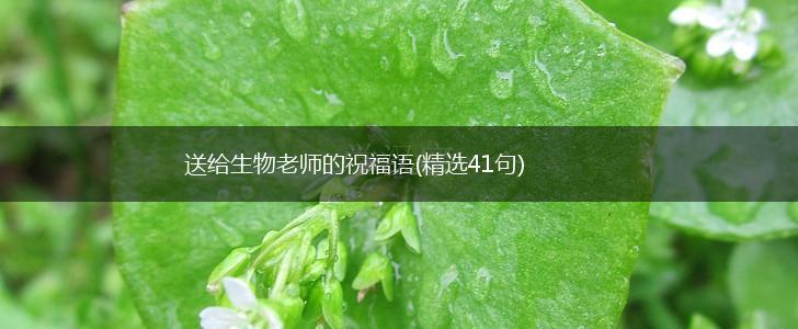 送给生物老师的祝福语(精选41句),第1张