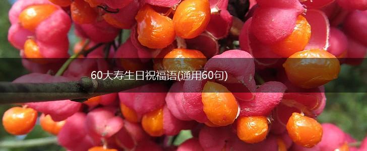 60大寿生日祝福语(通用60句),第1张