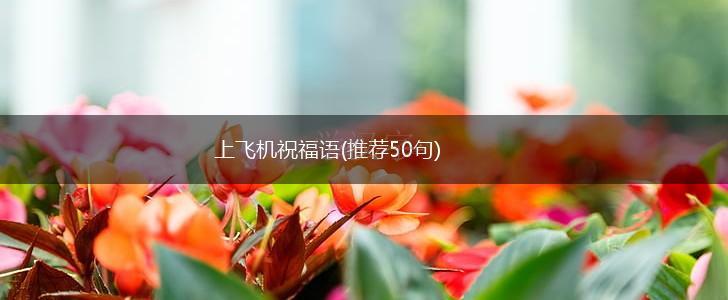 上飞机祝福语(推荐50句),第1张