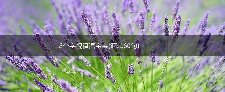 8个字祝福语宝宝(汇总60句),第1张