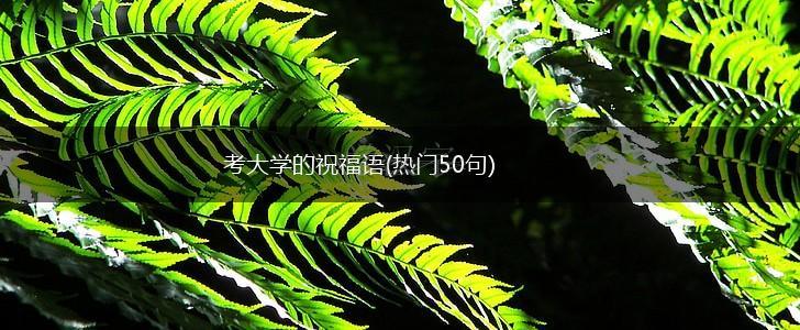 考大学的祝福语(热门50句),第1张