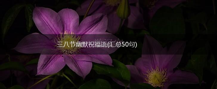 三八节幽默祝福语(汇总50句),第1张