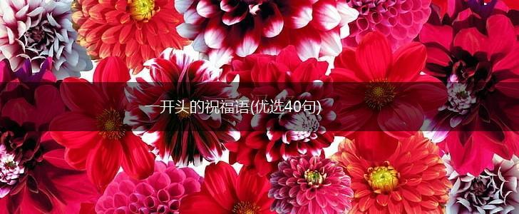 一开头的祝福语(优选40句),第1张