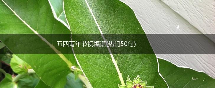 五四青年节祝福语(热门50句),第1张