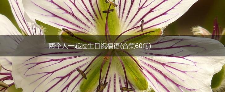 两个人一起过生日祝福语(合集60句),第1张