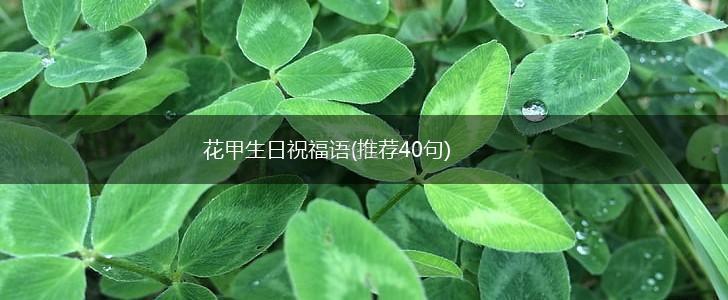 花甲生日祝福语(推荐40句),第1张