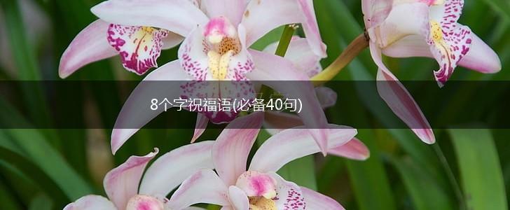 8个字祝福语(必备40句),第1张