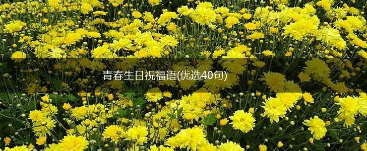 青春生日祝福语(优选40句),第1张